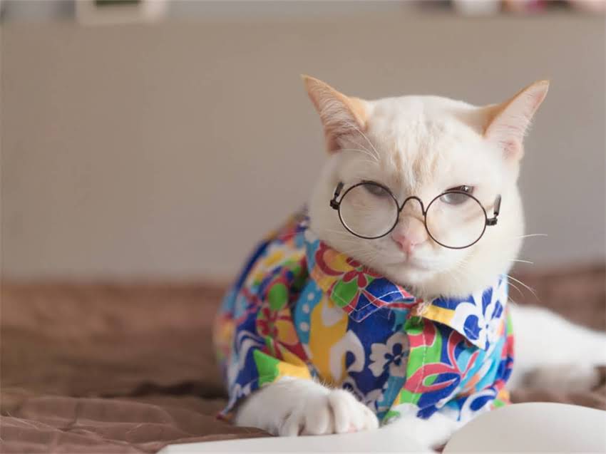 图片 阿拉斯加摄影指南：如何用镜头捕捉北极圈独特地貌与人文景观2.jpg