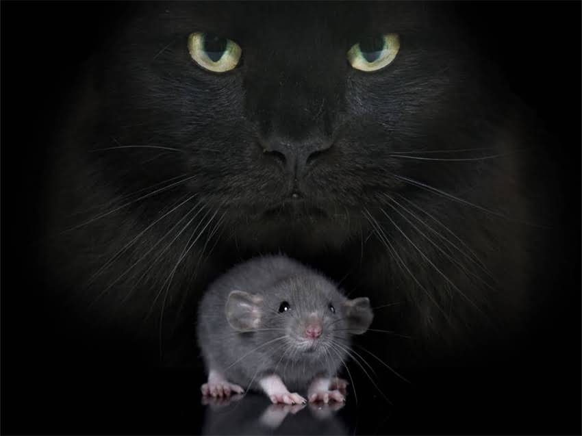 图片 阿拉斯加旅游全攻略：体重基数大如何规划行程？附健康饮食与景点推荐.jpg