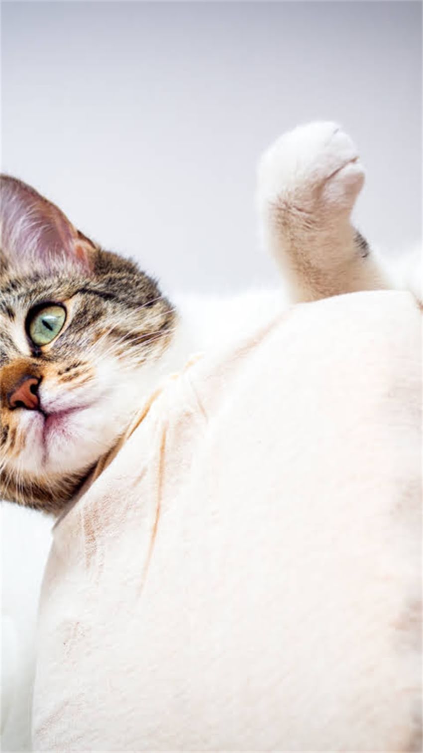 图片 阿拉斯加旅游全攻略：必去景点+最佳旅行时间+省钱技巧（附详细行程）最新指南.jpg