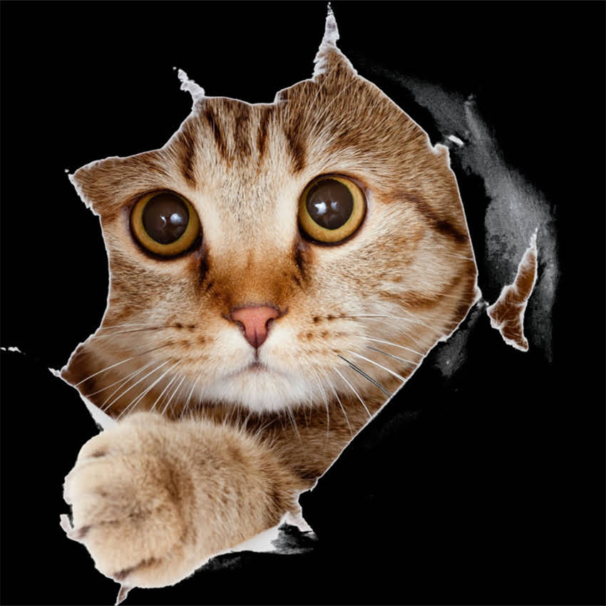 图片 阿拉斯加旅游全攻略：必去景点+最佳旅行时间+省钱技巧（附详细行程）最新指南2.jpg