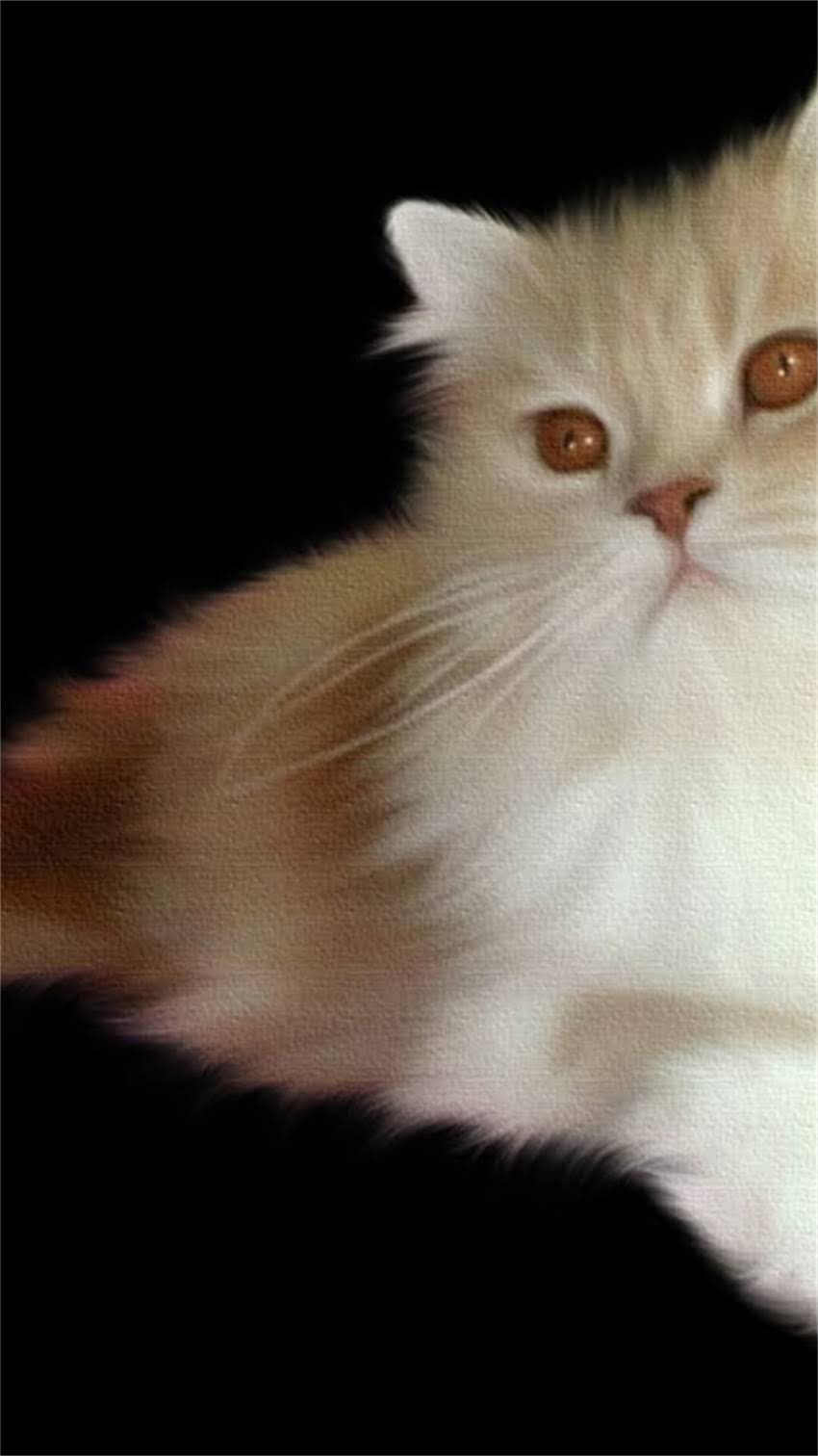 图片 阿拉斯加旅游后脚趾缝发炎怎么办？症状、原因及家庭护理全指南.jpg