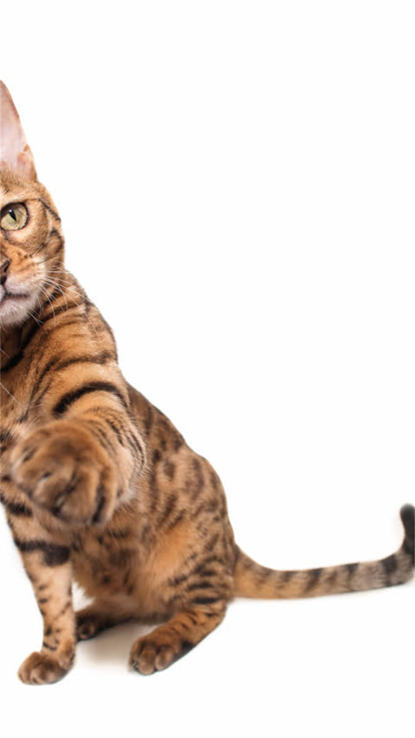 图片 阿拉斯加旅游安全指南：当地易被忽视的欺负陷阱，新手必看！1.jpg