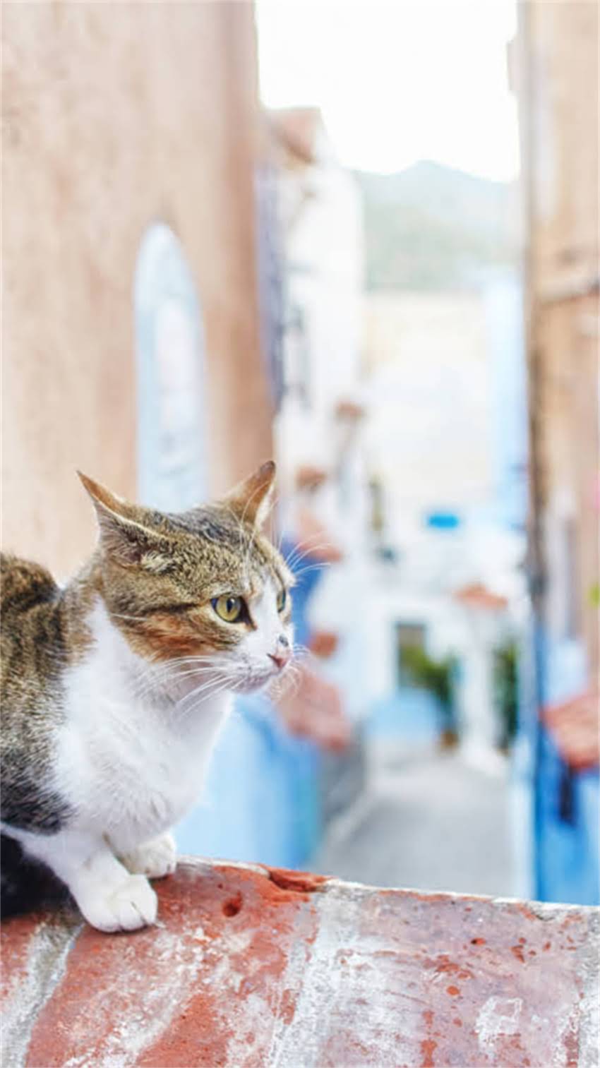 图片 阿拉斯加旅游必吃清单+避坑指南！保姆级攻略让你不踩雷不浪费2.jpg