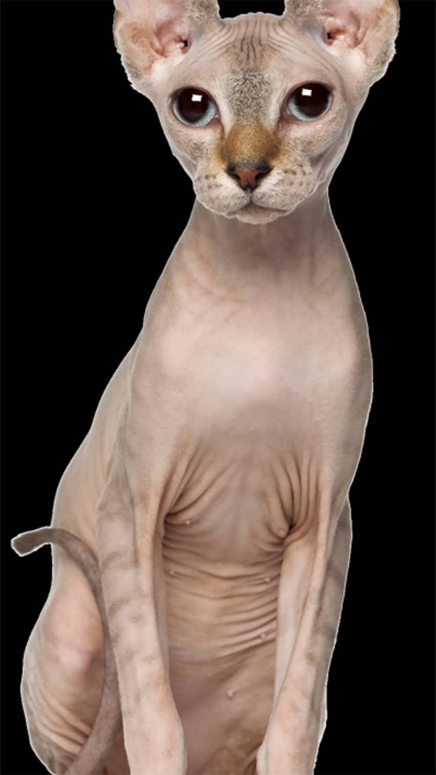 图片 阿拉斯加旅游洗澡指南：最佳季节、住宿选择与冬季生存技巧（附详细攻略）2.jpg