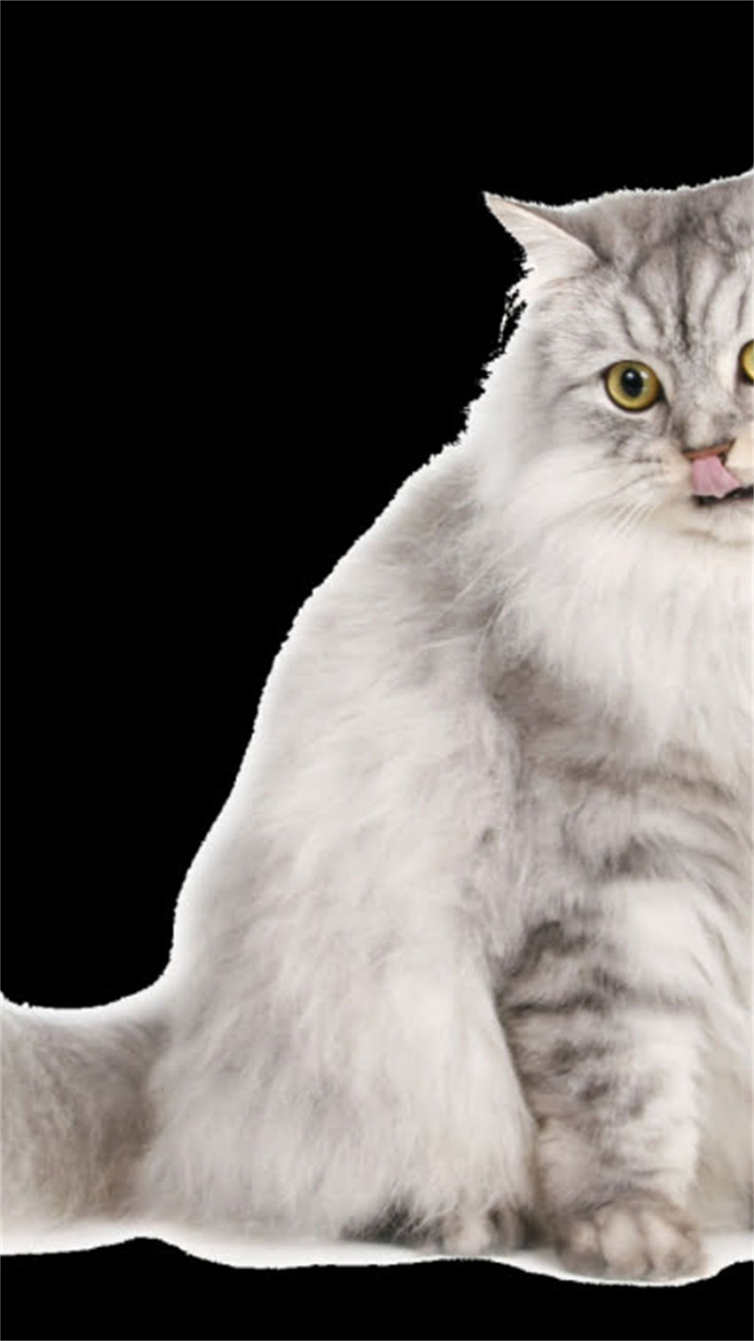 图片 阿拉斯加旅行必看！10种食物不能吃，第5种千万别碰！附避坑指南.jpg