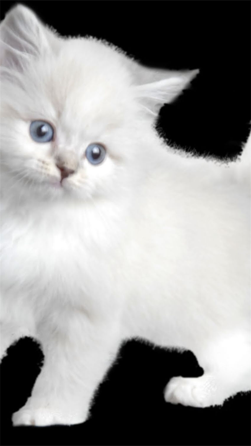 图片 阿拉斯加旅行必看！10种食物不能吃，第5种千万别碰！附避坑指南1.jpg