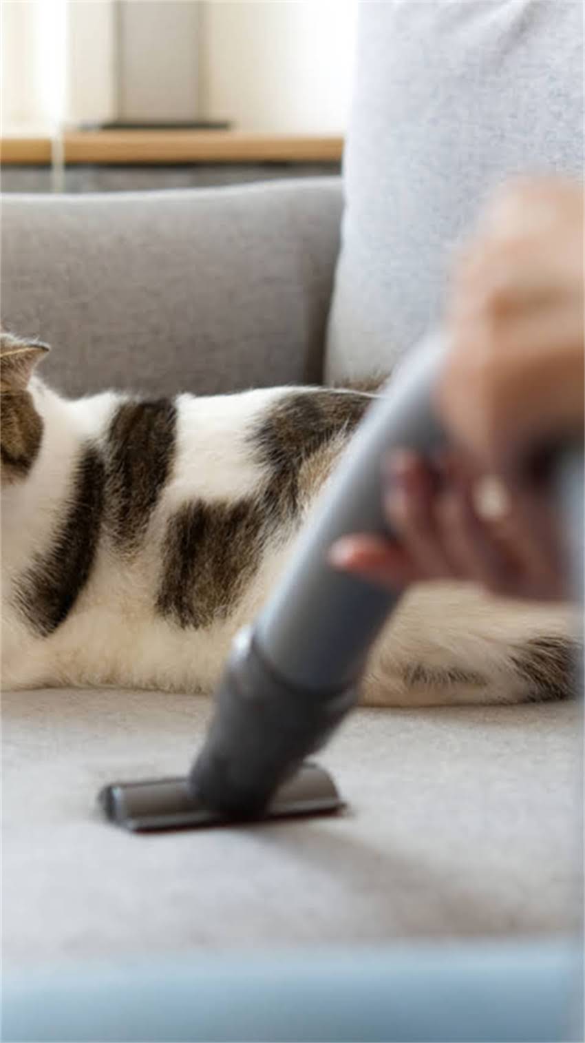 图片 阿拉斯加旅行必看！10种食物不能吃，第5种千万别碰！附避坑指南2.jpg