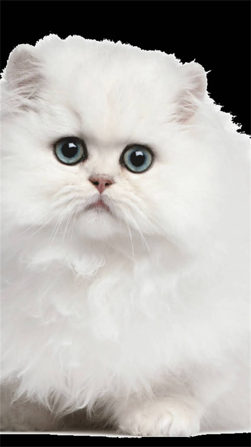 图片 阿拉斯加春节旅游全攻略：冰雪奇缘+文化体验，错过再等一年！.jpg