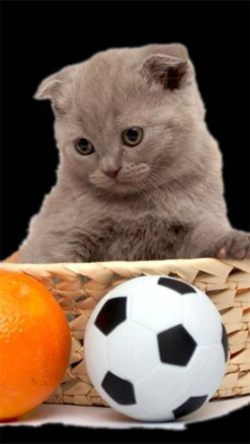 图片 阿拉斯加春节旅游全攻略：冰雪奇缘+文化体验，错过再等一年！1.jpg