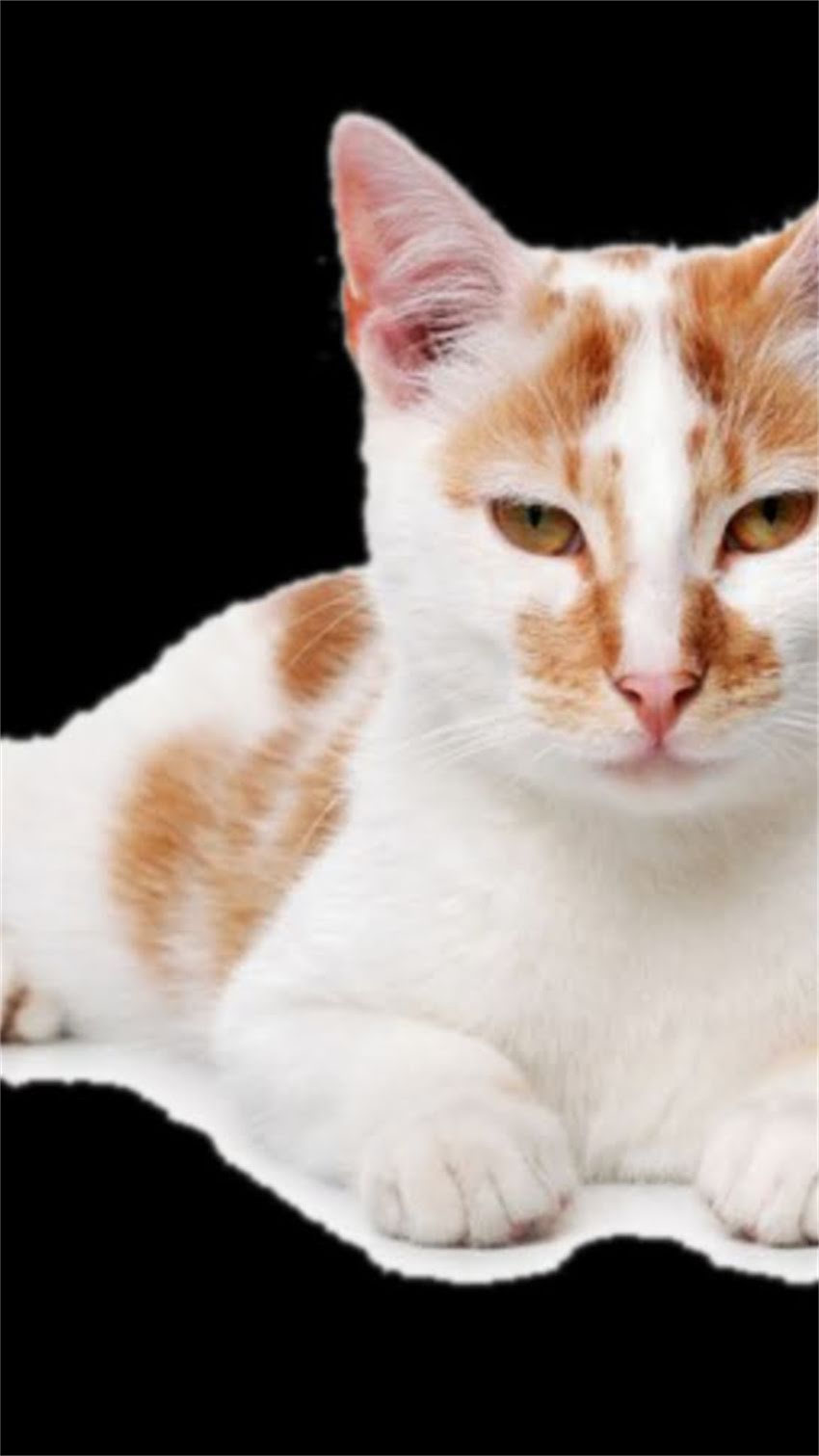 图片 阿拉斯加有哪些狼爪形景点？全网最全攻略及摄影指南（附地图+最佳拍摄时间）.jpg