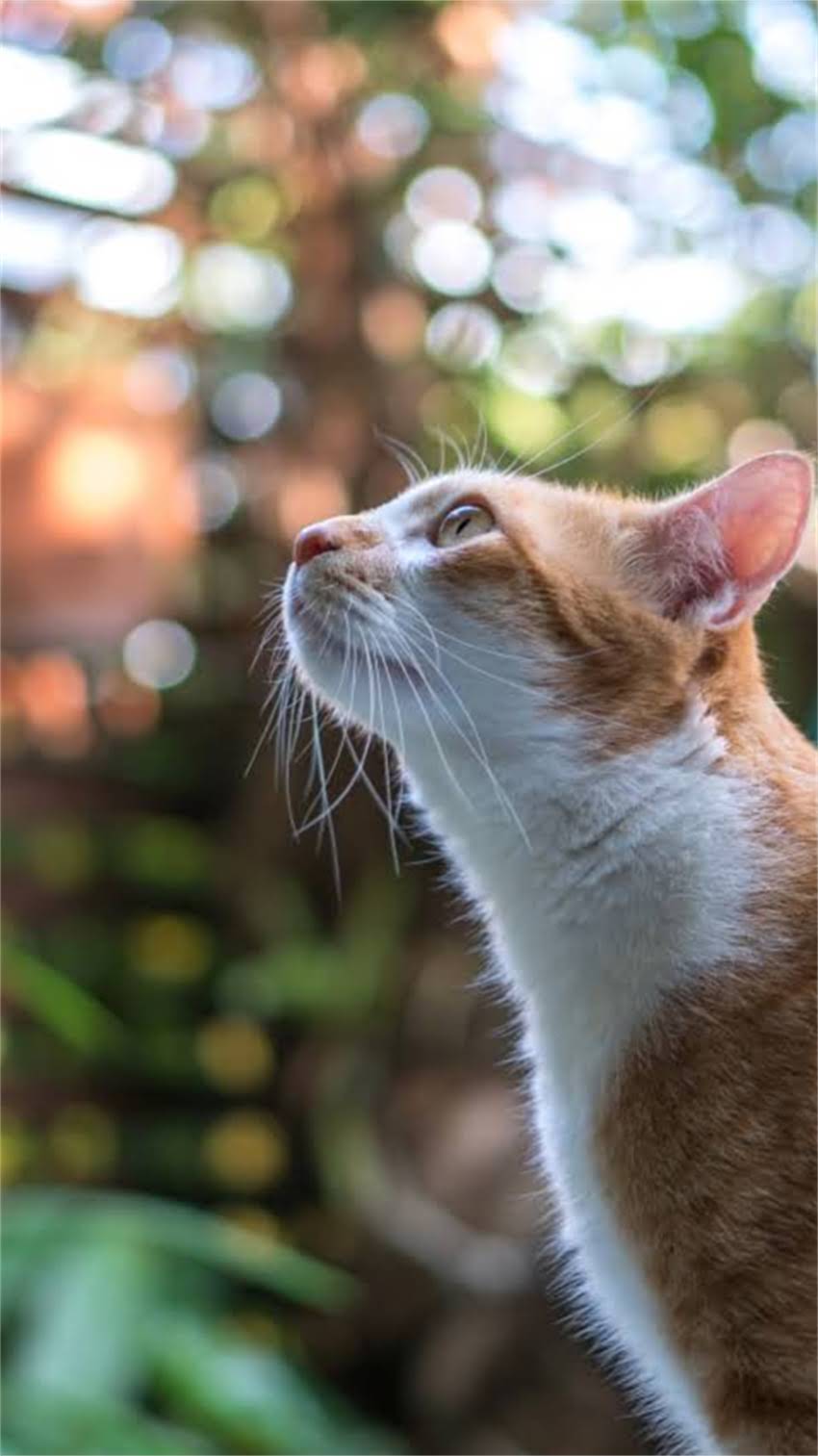 图片 阿拉斯加有哪些狼爪形景点？全网最全攻略及摄影指南（附地图+最佳拍摄时间）1.jpg