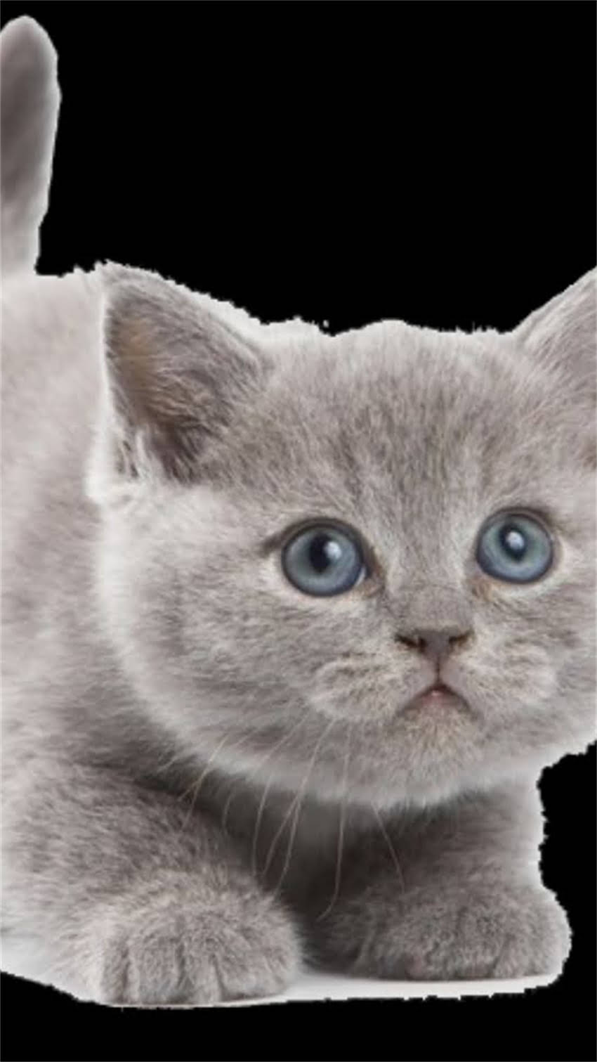 图片 阿拉斯加有哪些狼爪形景点？全网最全攻略及摄影指南（附地图+最佳拍摄时间）2.jpg