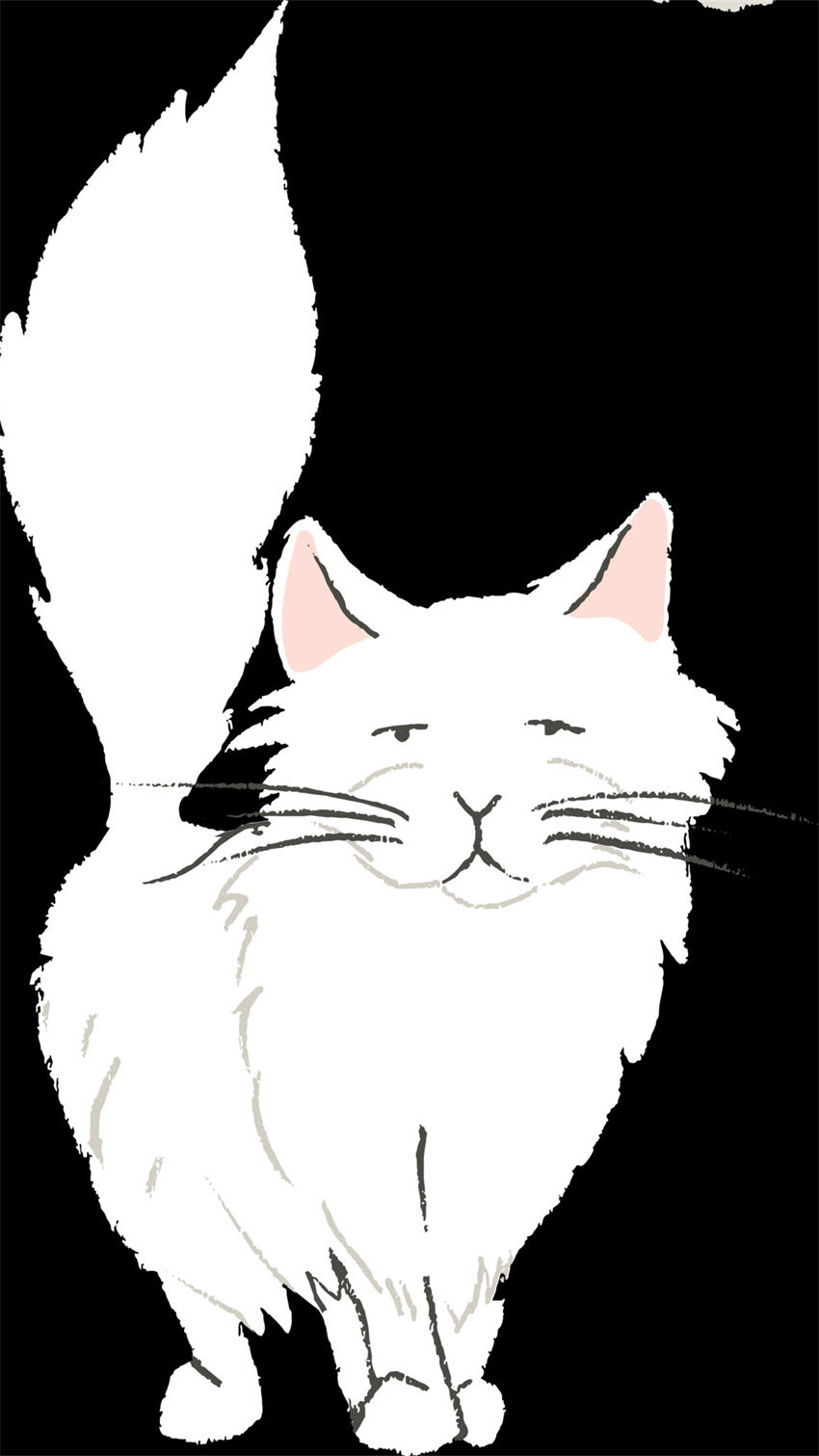 图片 阿拉斯加棕熊红色主题之旅：探秘极光下的狂野世界，解锁5大震撼打卡地与摄影攻略2.jpg