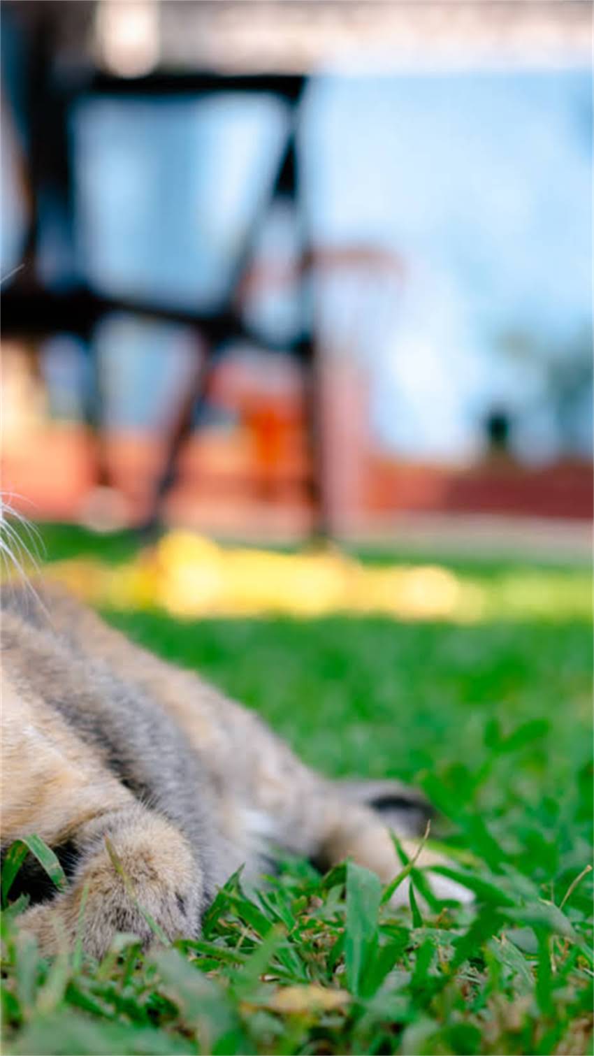 图片 阿拉斯加深度游全攻略：每日行程安排与必体验项目1.jpg