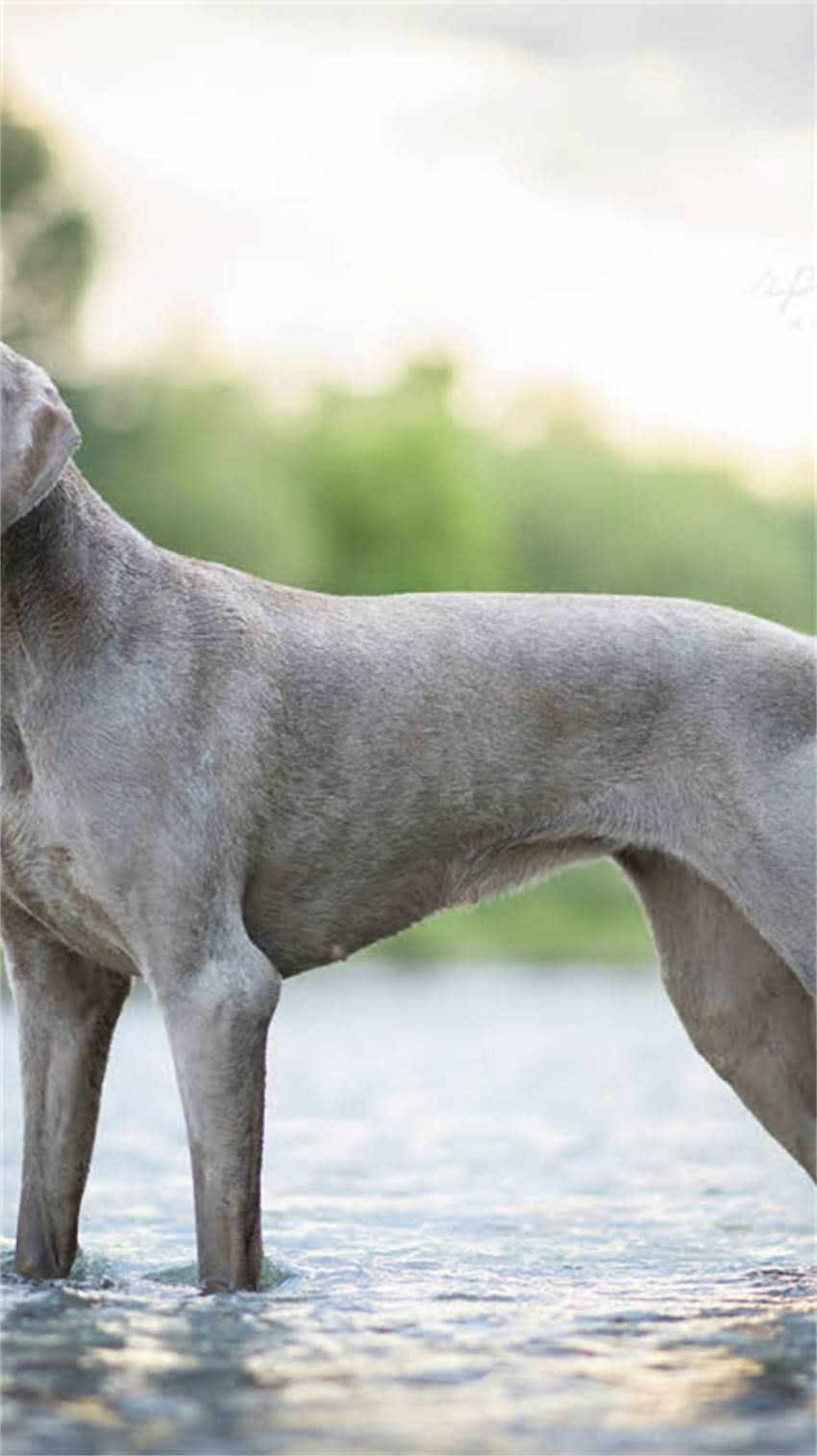 图片 阿拉斯加爱斯基摩文化深度：必去景点、传统与现代交织的冰与火之旅2.jpg