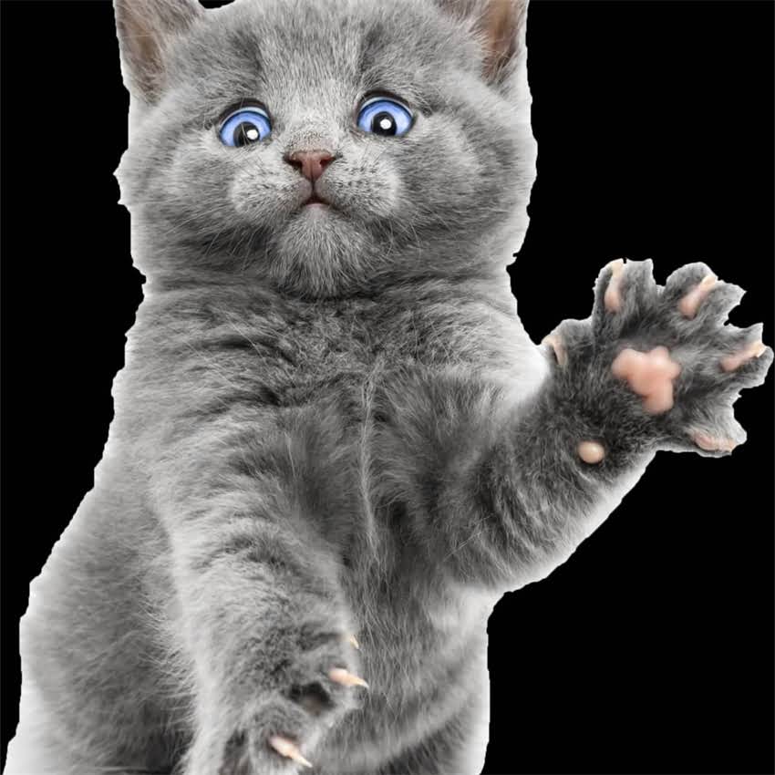 图片 阿拉斯加犬家庭异味重？5大专业除臭技巧+养护指南，帮你打造清新家居环境2.jpg