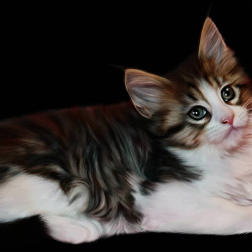 图片 阿拉斯加犬成长时间表全：从幼犬到成犬的饲养指南2.jpg