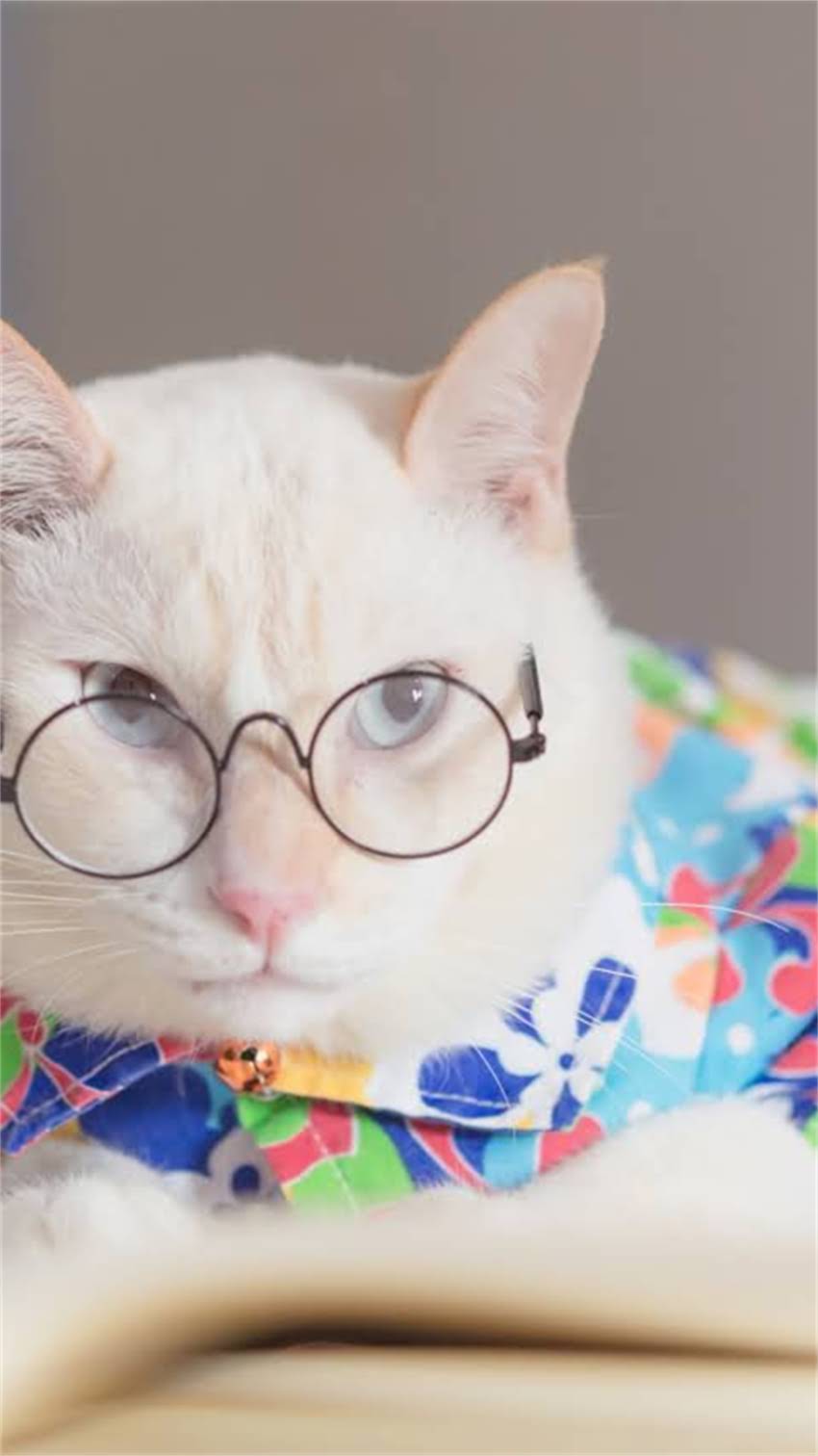 图片 阿拉斯加犬最佳配种年龄是多少？科学配种指南与注意事项全.jpg