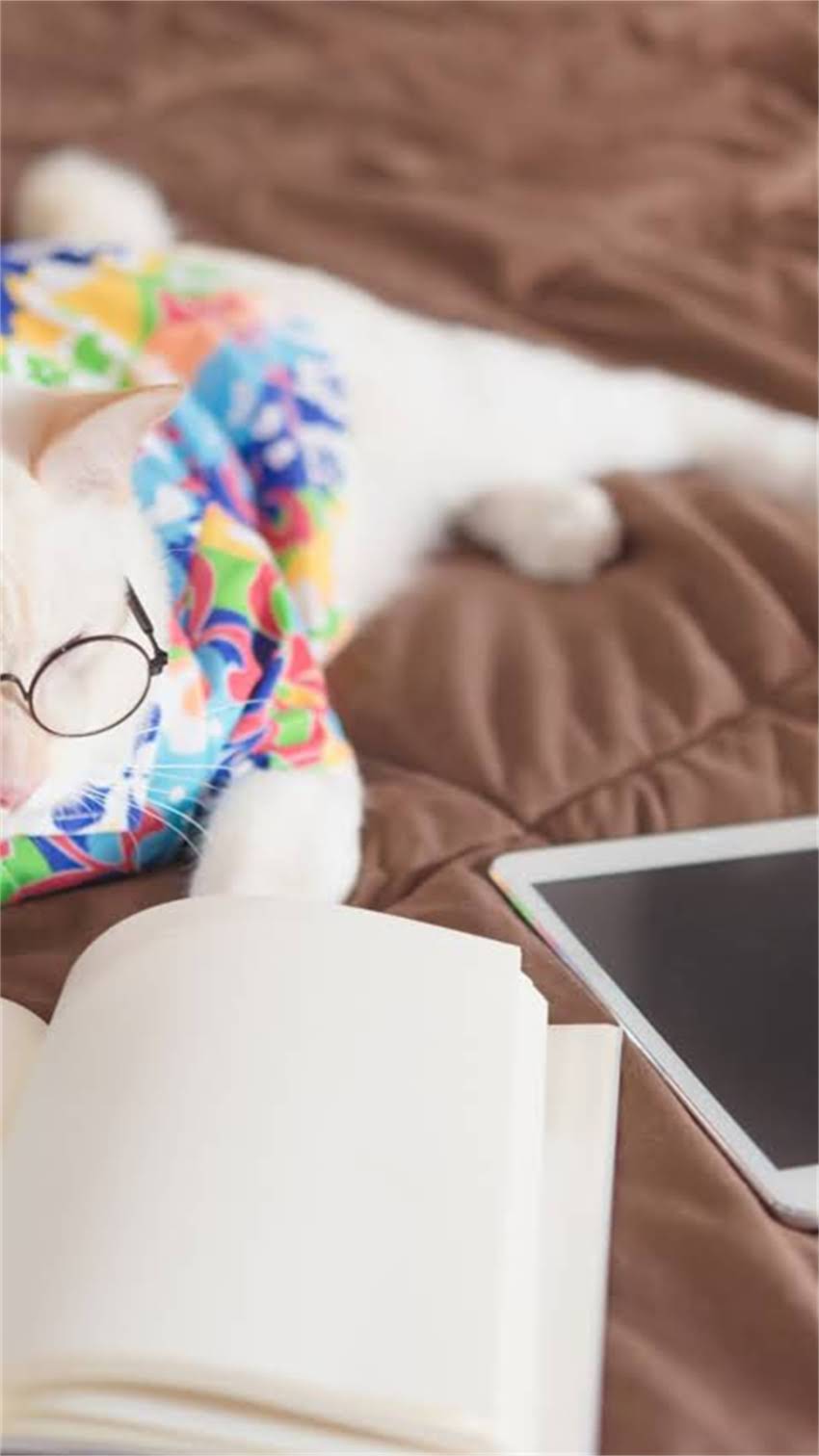 图片 阿拉斯加犬最佳配种年龄是多少？科学配种指南与注意事项全1.jpg