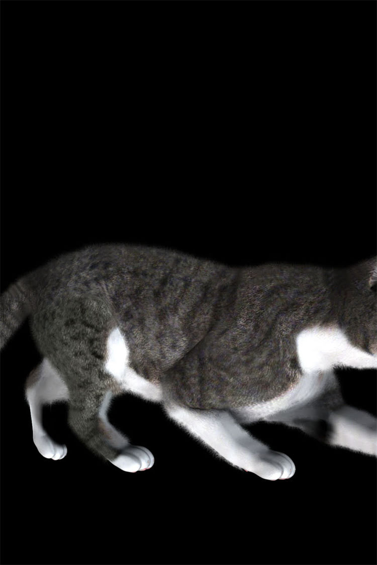 图片 阿拉斯加犬洗澡全攻略：科学步骤与注意事项，助你轻松护理爱犬1.jpg