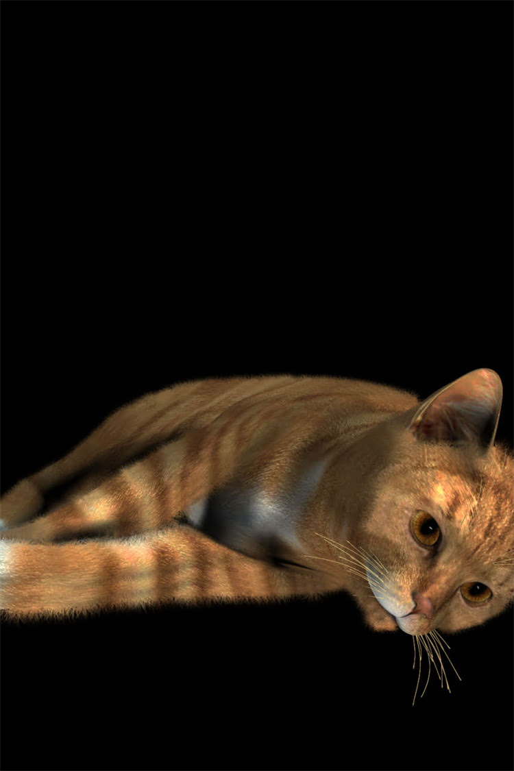 图片 阿拉斯加犬牙齿发黄怎么办？5大原因+专业护理指南（附日常清洁技巧）.jpg