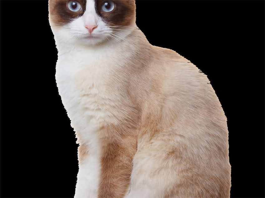 图片 阿拉斯加自助游全攻略：如何规划行程与挑选最佳目的地（最新指南）.jpg