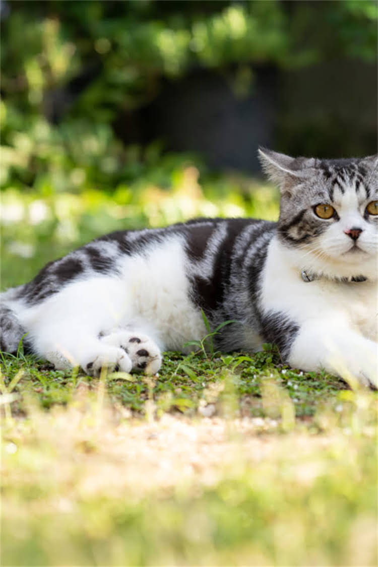 图片 阿拉斯加遛弯最佳时间指南：6-9月气候+全年活动全攻略2.jpg