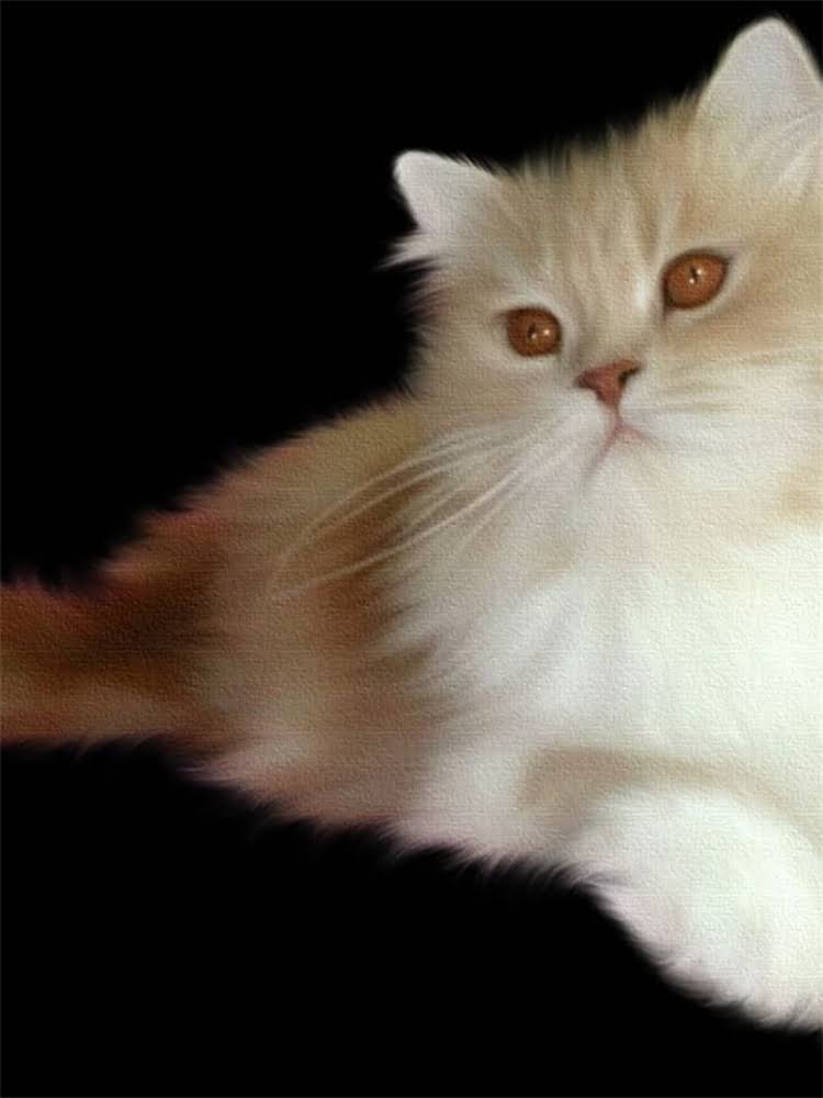 图片 阿拉斯基和哈士奇区别对比：品种特性、饲养指南及选购全1.jpg