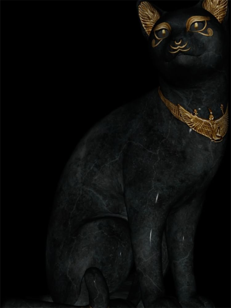 图片 雪纳瑞兔耳养护全攻略：品种特征与科学护理指南1.jpg