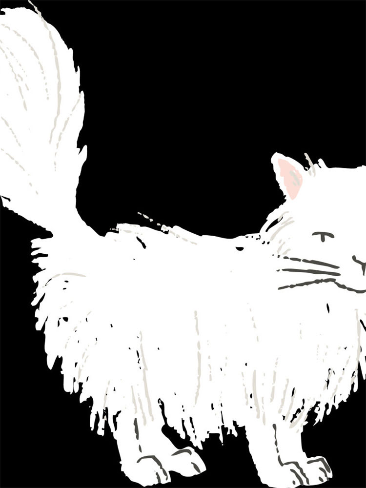 图片 雪纳瑞夏季健康养护全攻略：5大防暑降温与日常护理要点.jpg