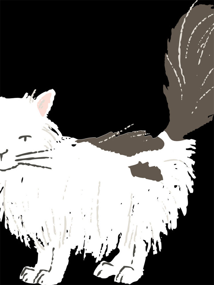 图片 雪纳瑞外面耳朵颜色大全：品种特征、护理技巧与常见问题解答1.jpg