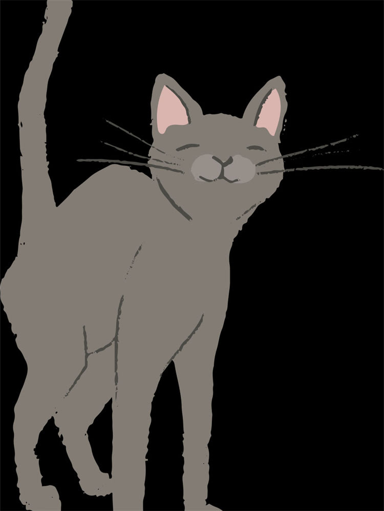 图片 雪纳瑞多大需要驱虫？5个关键时间点及注意事项全.jpg