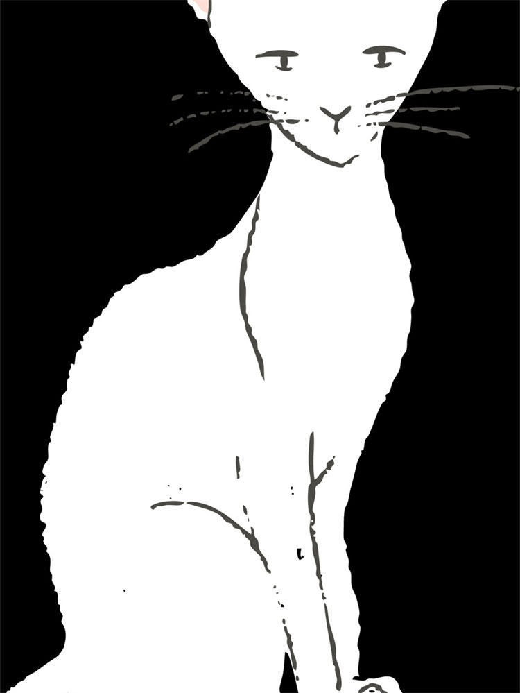 图片 雪纳瑞对主人怀孕的异常反应及科学.jpg