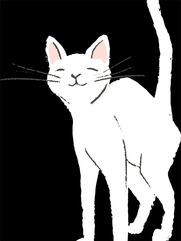 图片 雪纳瑞小型犬体重标准：从幼犬到成犬的详细数据及饲养指南.jpg