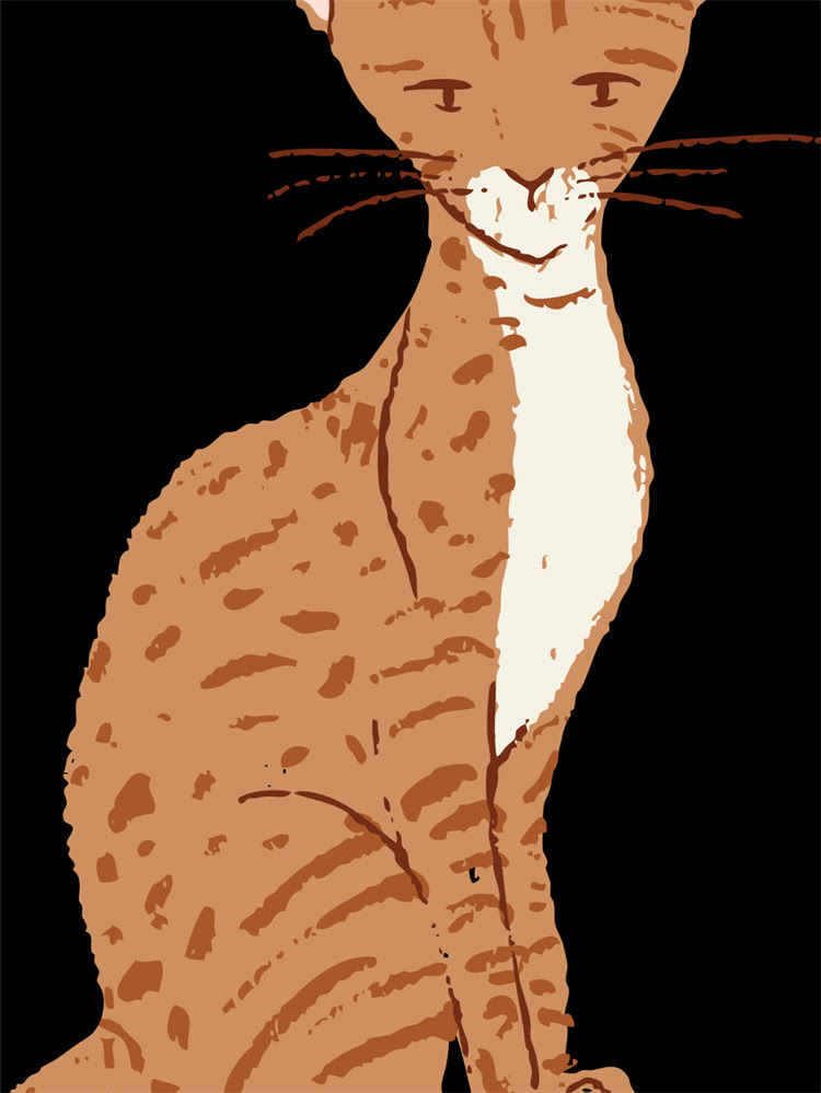 图片 雪纳瑞小型犬体重标准：从幼犬到成犬的详细数据及饲养指南2.jpg