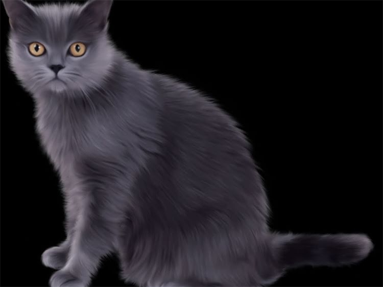 图片 雪纳瑞难产怎么办？兽医教你3步正确处理，保障母犬与幼崽安全1.jpg