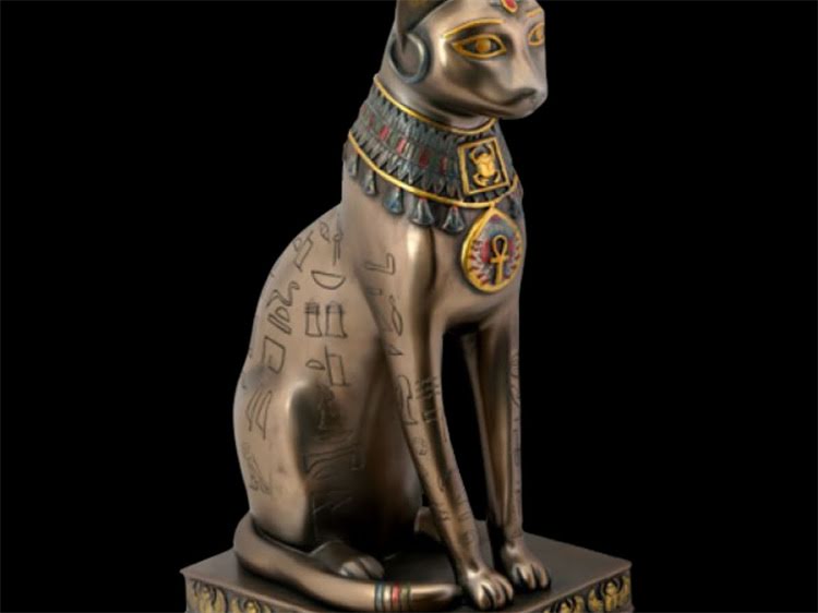 图片 鞍山拉布拉多领养全攻略：流程、费用、注意事项（附免费领养渠道）1.jpg