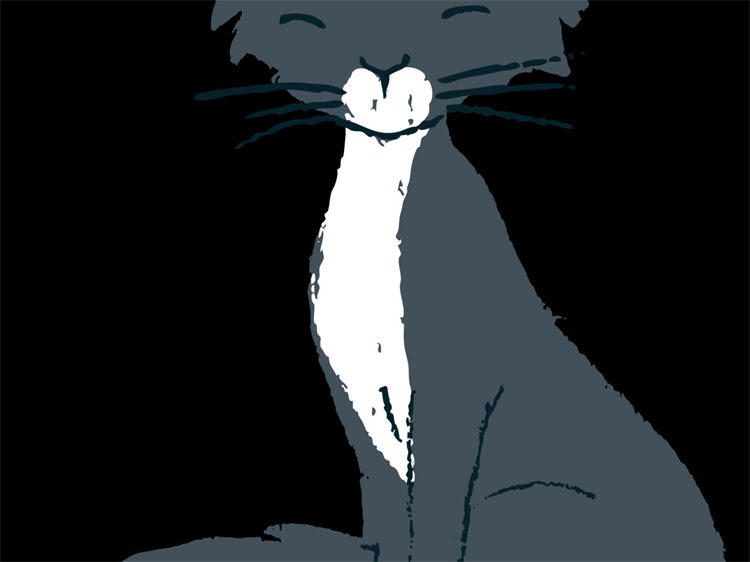 图片 飞耳比熊犬价格全！饲养指南+注意事项附赠，新手必看🐾1.jpg