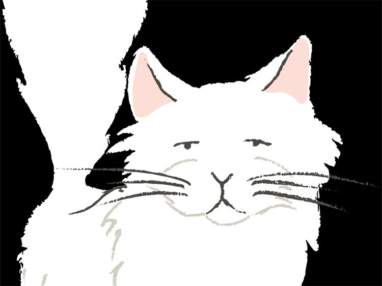 图片 马尔济斯犬与博美犬串串全：价格、特点、注意事项及养护指南.jpg