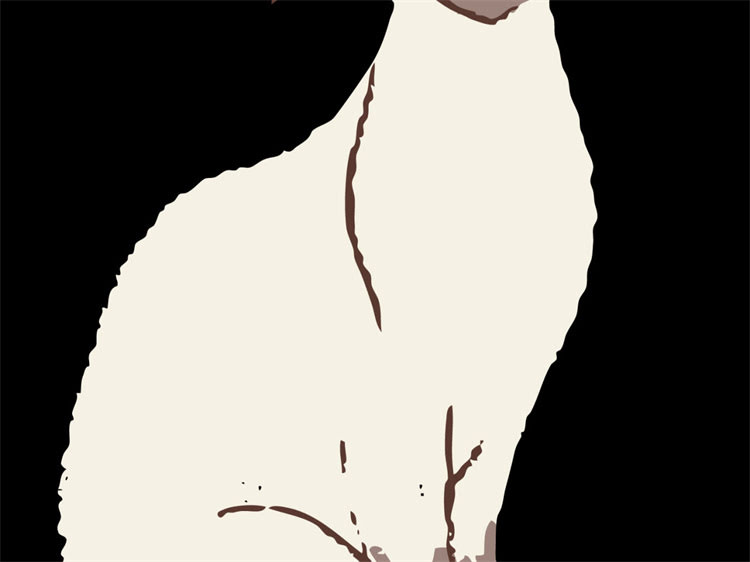 图片 高端进口犬用牛肉米饭配方：专业营养师推荐的5款狗狗健康主食制作指南1.jpg