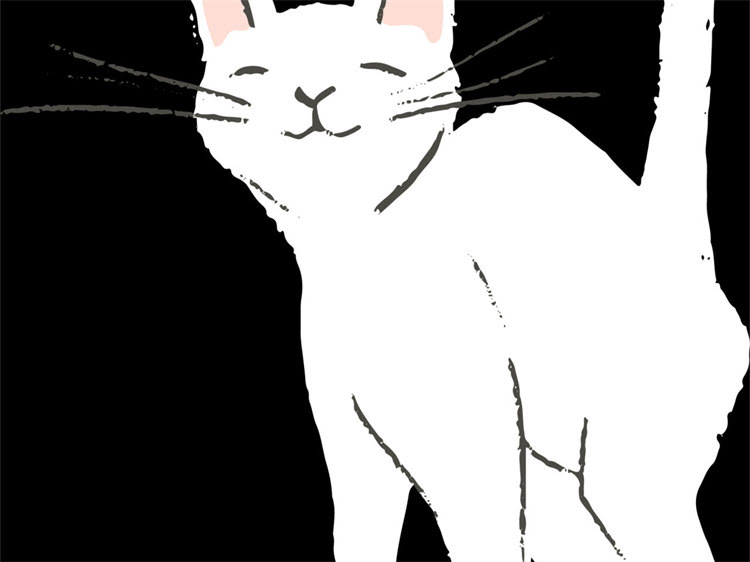 图片 魏玛犬vs拉布拉多对比指南🐾选犬必看！哪种才是你家命中注定的毛孩子？2.jpg