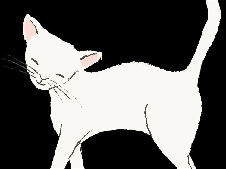 图片 魏玛猎犬和拉布拉多到底像在哪？看完这篇你就懂了！.jpg