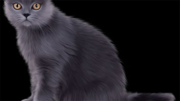 图片 龙猫毛色调控全攻略：3大科学方法让侏儒兔焕发健康coatcolor.jpg