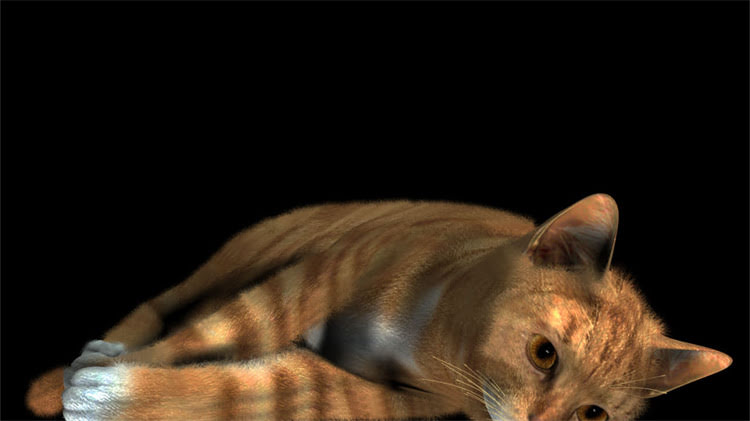 图片 龙猫流口水的原因是什么？科学解读+养护指南（附专业医生建议）.jpg