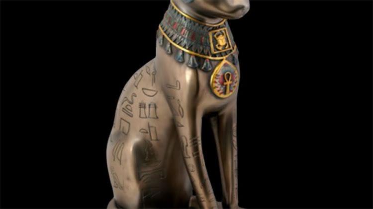 图片 龙猫脚部破损伴随腹泻怎么办？兽医教你3步康复指南2.jpg