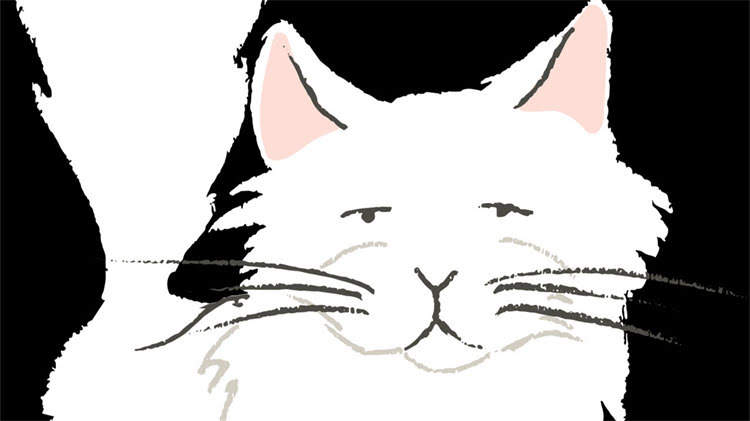 图片 龙猫逃脱笼子全过程：5种科学方法与注意事项，养宠必看！.jpg