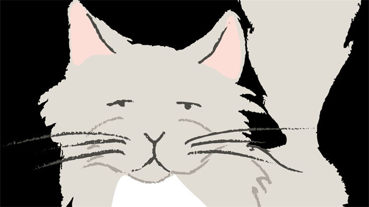 图片 龙猫逃脱笼子全过程：5种科学方法与注意事项，养宠必看！1.jpg
