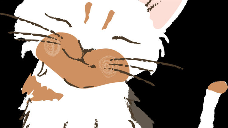 图片 龙猫需要吃黄粮吗？科学解答龙猫饮食误区与营养指南1.jpg