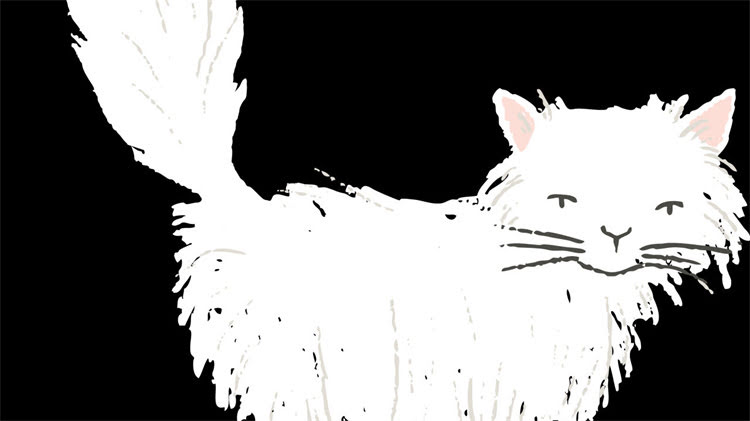 图片 龙猫颜值排名前10！不同品种对比，哪种最耐看？新手必看饲养指南1.jpg