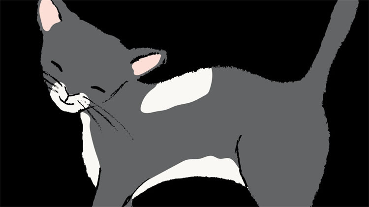 图片 龙猫饲养温度标准：10℃是安全底线？冬季保暖与夏季降温全攻略2.jpg